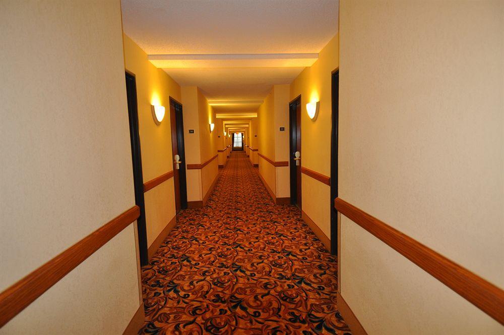 Comfort Inn & Suites New Orleans Airport North Кеннер Интерьер фото